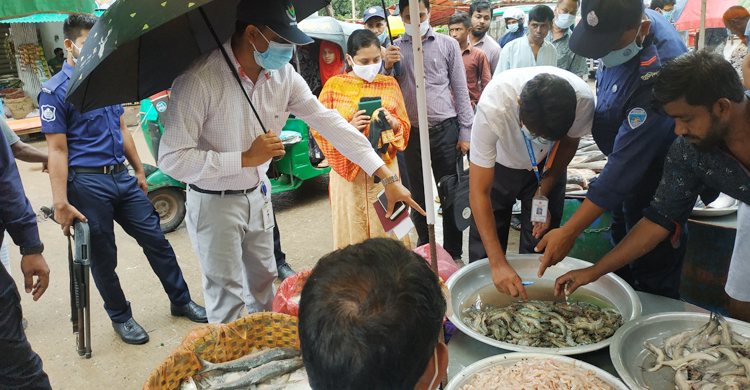 ওজন বাড়াতে চিংড়ি মাছে জেলি, ব্যবসায়ীদের জরিমানা