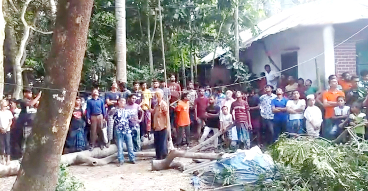 ডাল কাটতে উঠে গাছেই যুবকের মৃত্যু