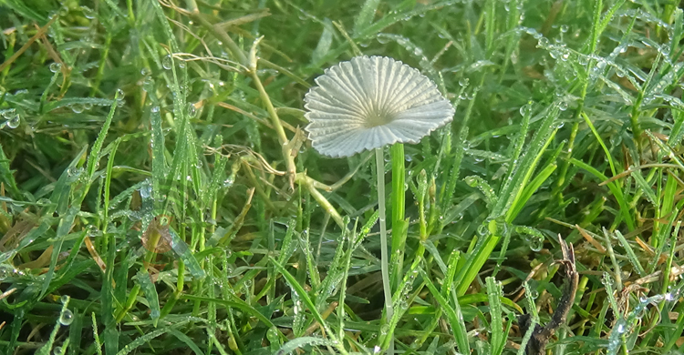 শীতের আগমনী বার্তায় ঋতুর রং বদল