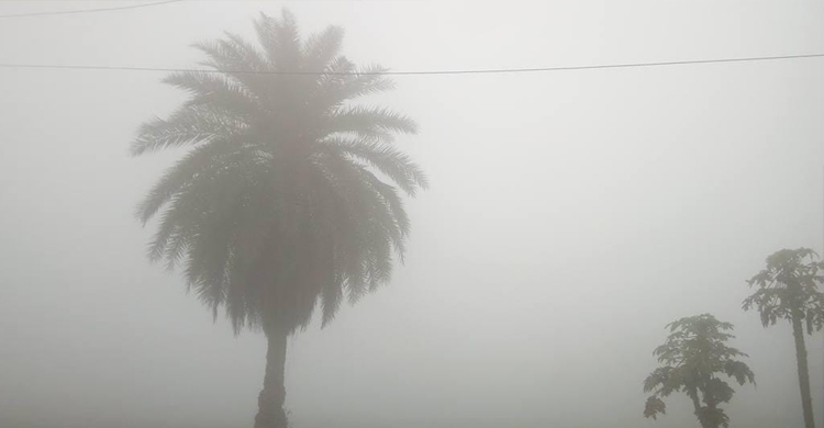 রাজশাহীতে মাঝারি শৈত্যপ্রবাহ, দেশের সর্বনিম্ন তাপমাত্রা রেকর্ড