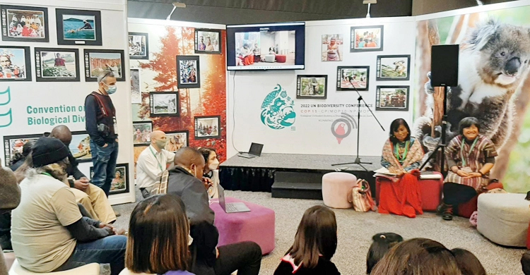 Cities call for increased investment to halt and reverse nature loss