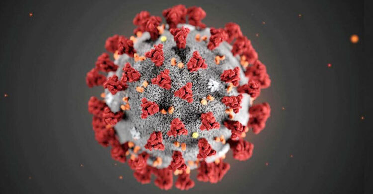 Coronavirus can infect brain tissue, affect memory, language: Brazilian study