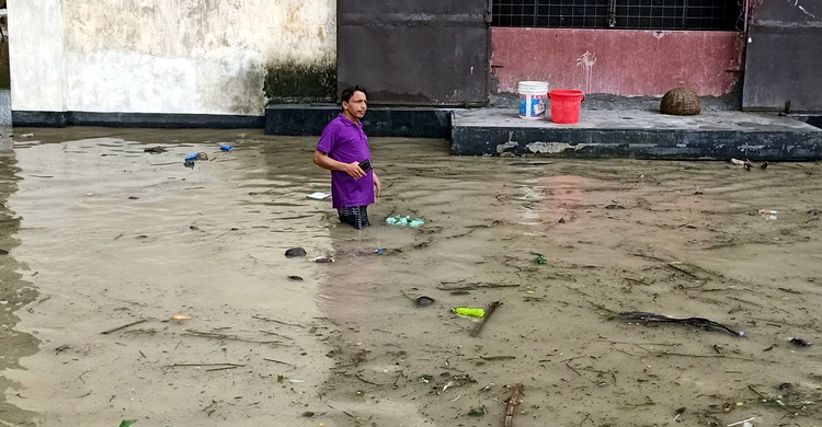 তিনদিনের বৃষ্টিতে ৫ কোটি টাকার মাছ ভেসে গেছে বাগেরহাটে