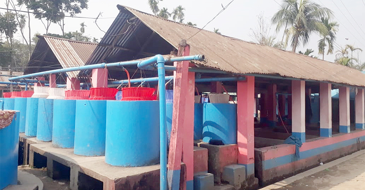 রেণু পোনায় লাখপতি