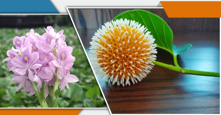 বদলে যাওয়া শৈশব