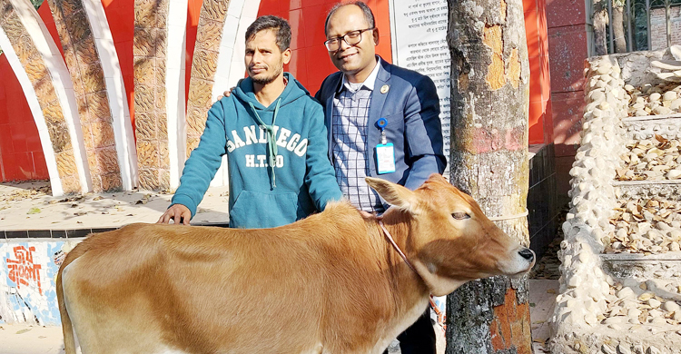 ৫ মিনিটের ব্যবধানে চার গাভির মৃত্যু, কৃষকের পাশে দাঁড়ালেন ডিসি