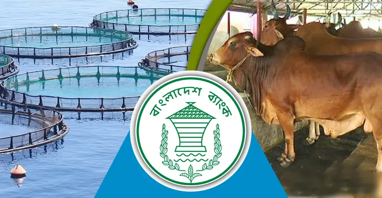 বায়োফ্লকে মাছ চাষ ও গরু মোটাতাজাকরণে ঋণ দেবে ব্যাংক