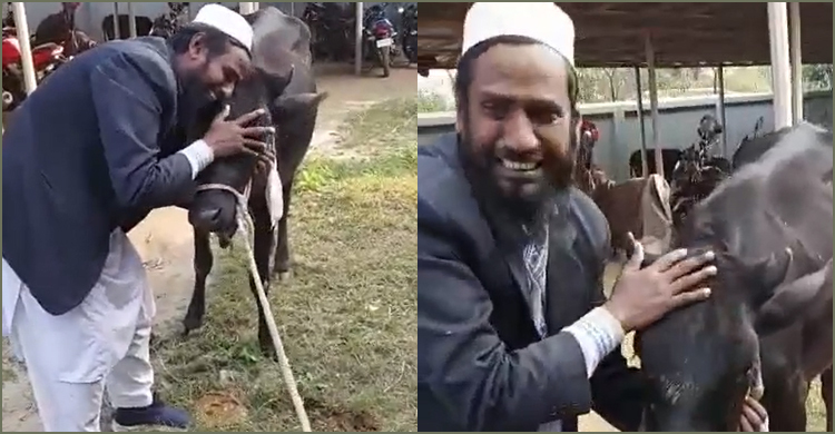 চুরি যাওয়া গরু ফিরে পেয়ে অঝোরে কাঁদলেন কৃষক