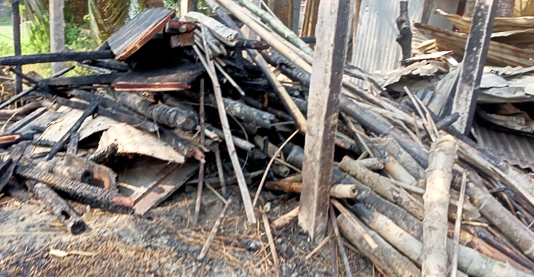 কয়েলের আগুনে পুড়ে মারা গেলো চার গরু