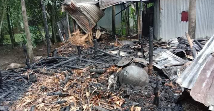 কয়েলের আগুনে পুড়ে মরলো ৪ গরু