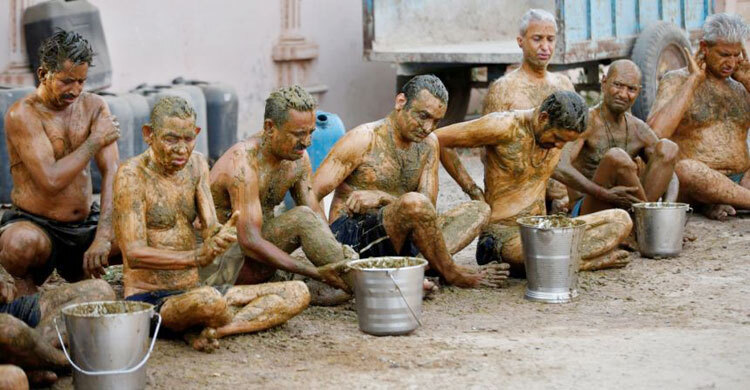 Indian doctors warn against cow dung as Covid-19 cure