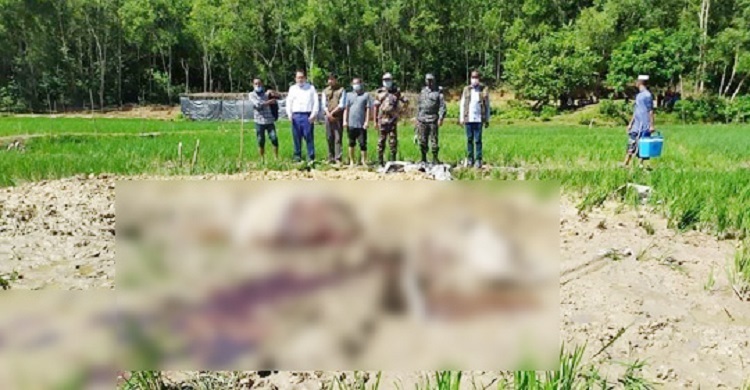 হাতির আক্রমণেই প্রাণ হারালেন ফাঁদ পেতে হাতি হত্যাকারী!