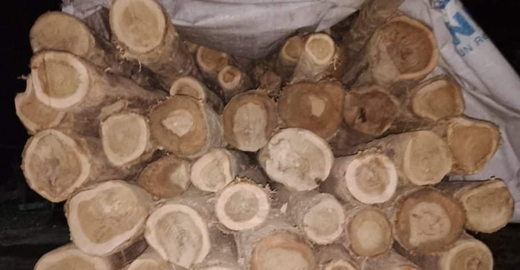 ধাওয়া খেয়ে ট্রাকবোঝাই সেগুন কাঠ ফেলে পালালো পাচারকারীরা