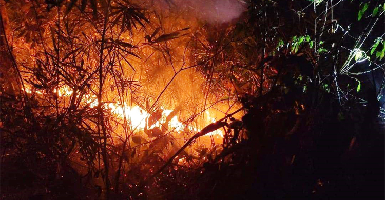 কক্সবাজারে আগর বাগানে দুর্বৃত্তের আগুন, ৪৬ গাছ লুট