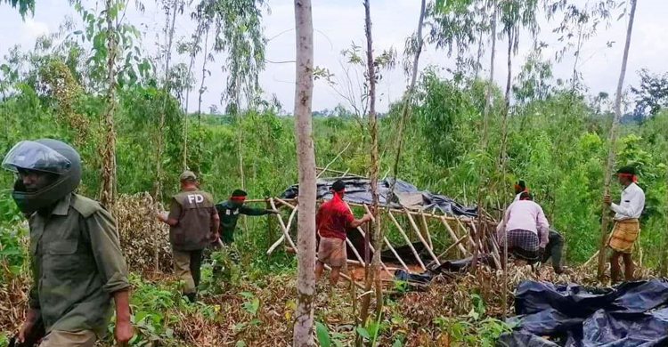 কক্সবাজারে অবৈধভাবে দখল ১০০ একর বনভূমি উদ্ধার