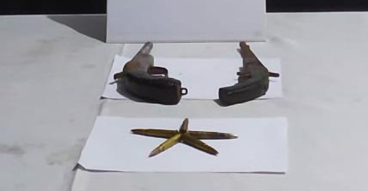 র‌্যাবের সঙ্গে ‘গোলাগুলিতে’ রোহিঙ্গা ডাকাত নিহত