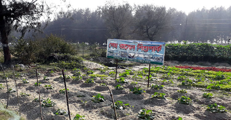সৈকতের ঝাউবাগানে গড়ে উঠছে ‘শেখ রাসেল শিশু পার্ক’