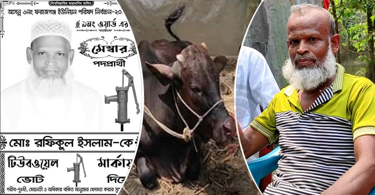 ভোটে হেরে ক্ষোভে গরু চুরি