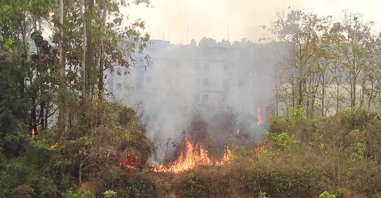 কুবির বনে অগ্নিকাণ্ড