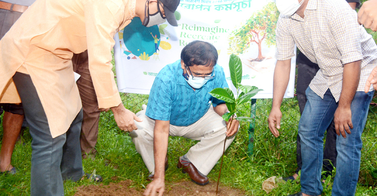 ‘সবুজ পৃথিবী গড়তে বৃক্ষরোপণের বিকল্প নেই’