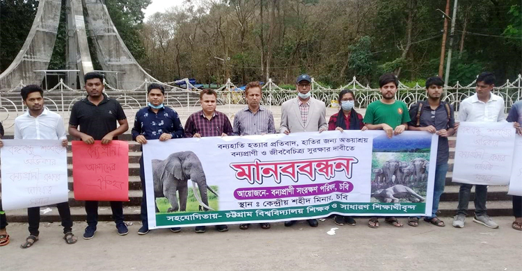 বন্যহাতি হত্যার প্রতিবাদে চবিতে মানববন্ধন