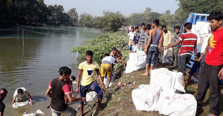 ইলিশের ট্রাক খাদে পড়ে প্রাণ গেল দুইজনের