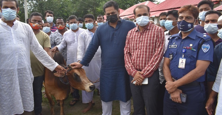 কুমিল্লায় আশ্রয়ণ প্রকল্পে কোরবানির ২ গরু উপহার