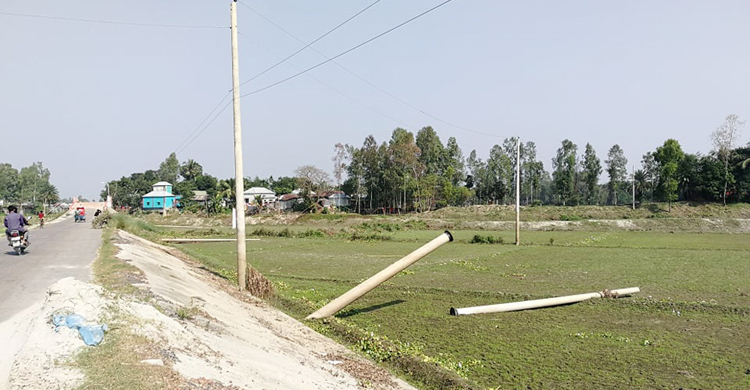 জমিতে বিদ্যুতের খুঁটি, ভয়ে চাষ করছেন না কৃষকরা