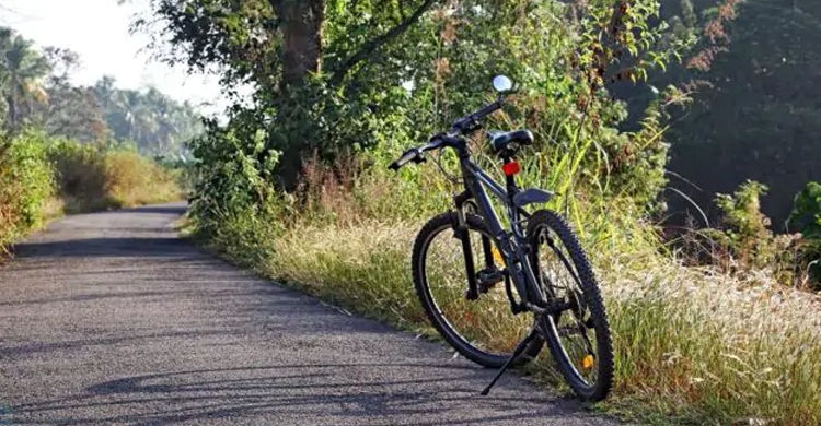 শখ করে সাইকেল চালাতে গিয়ে প্রাণটাই গেল শিশুর
