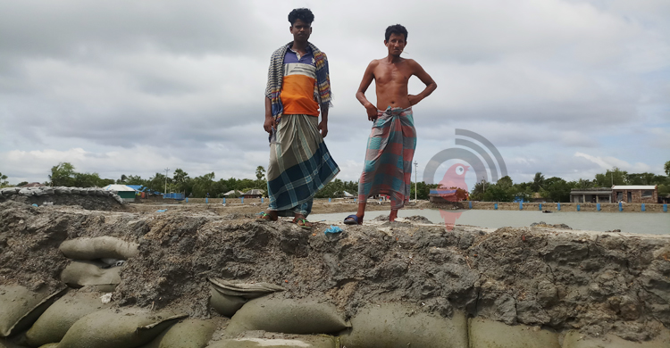 ঘূর্ণিঝড় জাওয়াদ: ক্ষতিগ্রস্ত বেড়িবাঁধ নিয়ে শঙ্কায় উপকূলবাসী
