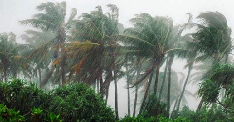 সাগরে ঘূর্ণিঝড় ‘বুলবুল’ : গভীর রাতে পটুয়াখালীতে বৃষ্টি