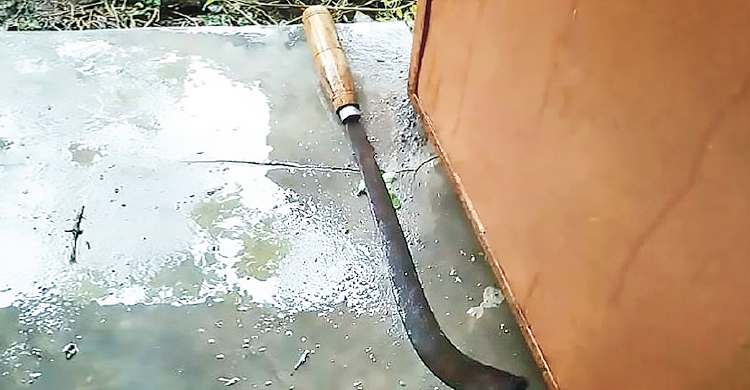 ভাতিজার হাত বিচ্ছিন্ন করলেন ইউপি সদস্য চাচা