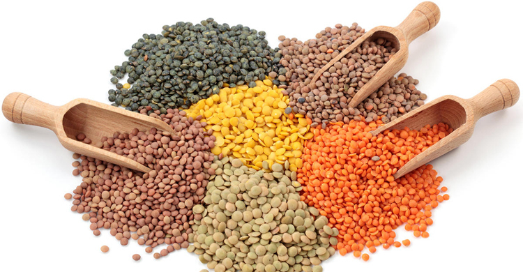 বিশ্ব ডাল দিবস আজ