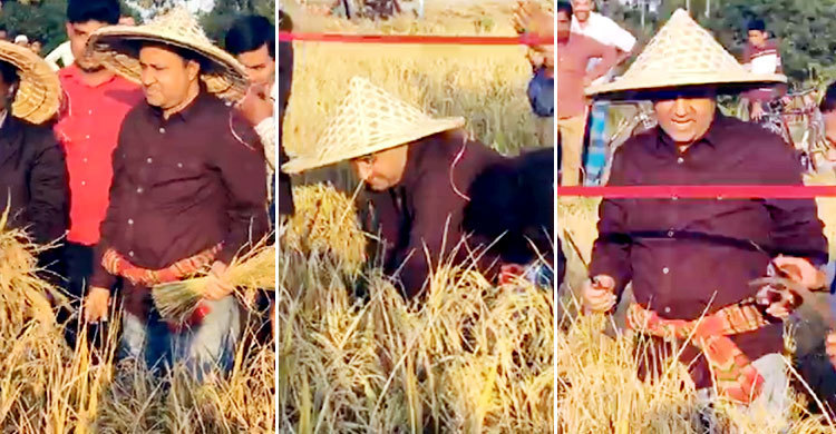 ডিসিকে দেখে চমকে গেলেন সবাই