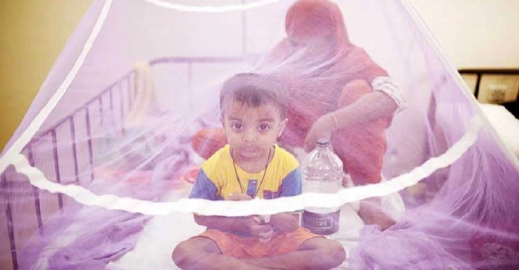 ডেঙ্গুতে আরও ২ মৃত্যু, হাসপাতালে ৩৪৪ জন