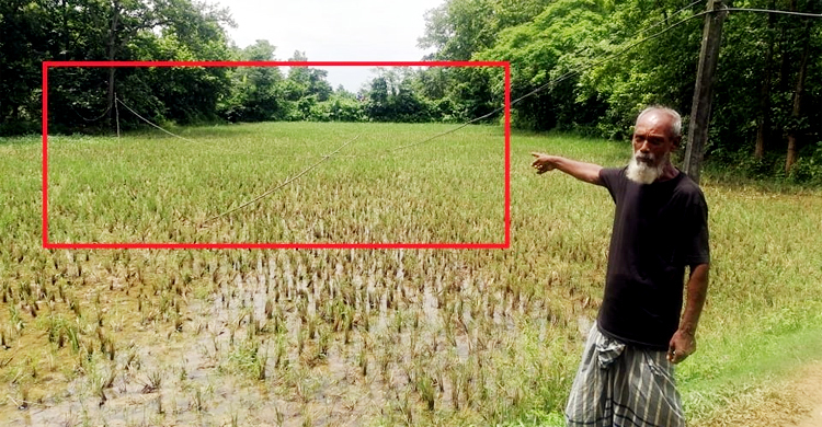 স্বামী-স্ত্রীর মৃত্যু বলে গেল কতটা ঝুঁকিপূর্ণ ওয়াপদা