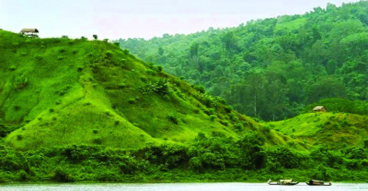 অটোরিকশা থামিয়ে গারো পাহাড়ে নিয়ে গৃহবধূকে গণধর্ষণ