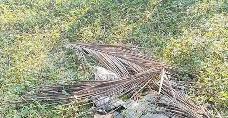 নিখোঁজের পরদিন ডোবায় মিলল শিশুর মরদেহ