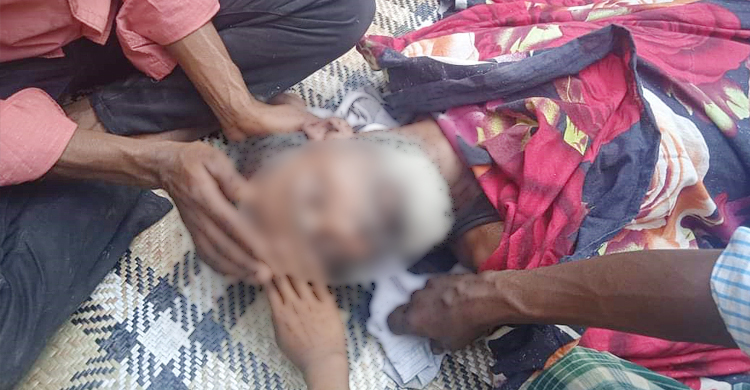 নাতির জন্য ডাব পাড়তে উঠে গাছেই দাদার মৃত্যু