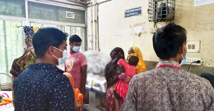 একসঙ্গে ৫ সন্তানের জন্ম, বাঁচলো না একটিও