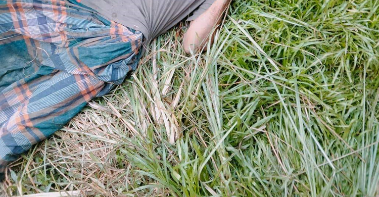 নরসিংদীতে রাজমিস্ত্রির গলাকাটা মরদেহ উদ্ধার