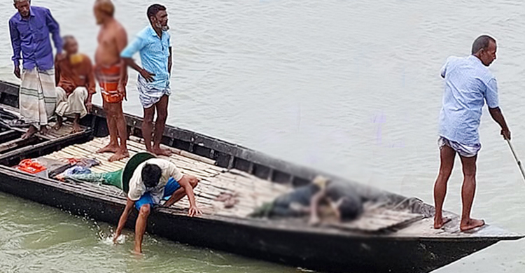 চলনবিল থেকে অটোরিকশা চালকের হাত-পা বাঁধা মরদেহ উদ্ধার