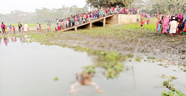 চাঁদপুরে ডাকাতিয়া নদী থেকে নারীর অর্ধগলিত মরদেহ উদ্ধার