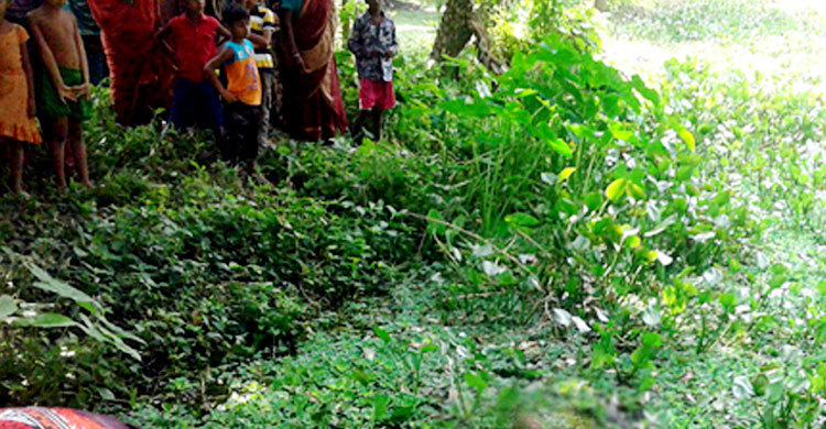একই সঙ্গে জমজ দুই ভাইয়ের মৃত্যু
