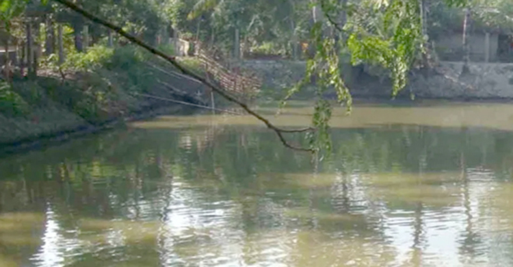 পুকুরের পানিতে বিদ্যুতায়িত হয়ে বাবা-ছেলের মৃত্যু