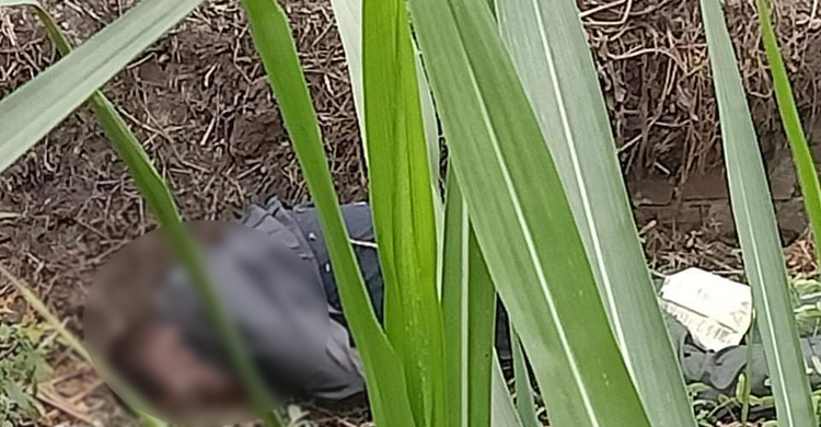 সাবেক সেনা সদস্যের হাত বাঁধা মরদেহ উদ্ধার