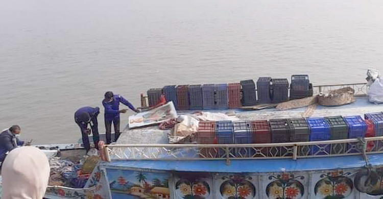 নৌকায় আগুন, ঘুমন্ত অবস্থায় মারা গেলেন মাঝি