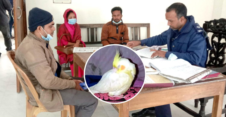 কথা বলা পাখির দাবিদার দুপক্ষ, থানায় হাজির দম্পতি