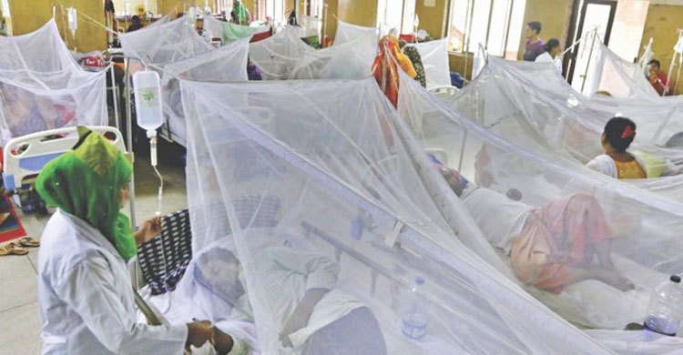 ২৪ ঘণ্টায় হাসপাতালে ভর্তি আরও ৮৫ ডেঙ্গু রোগী
