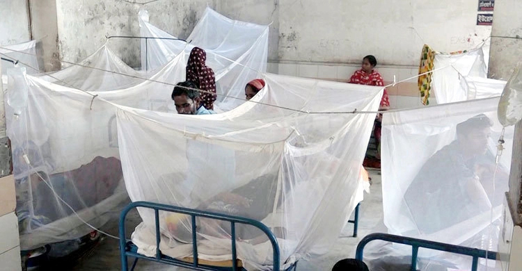 ডেঙ্গু আক্রান্ত আরও ২১ রোগী হাসপাতালে ভর্তি